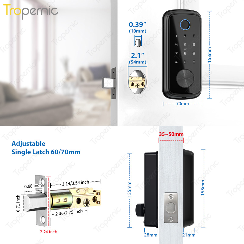 Tuya Zigbee-cerrojo de segurid - Smart Home Door Lock reseña y precio
